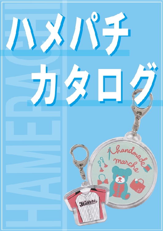 ハメパチカタログ